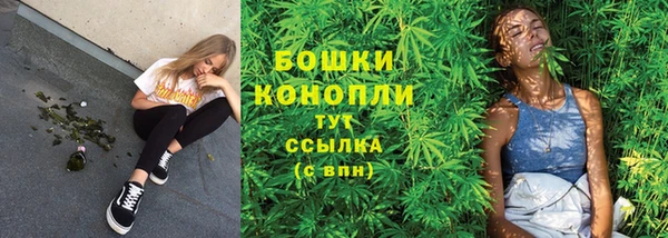 амф Осинники