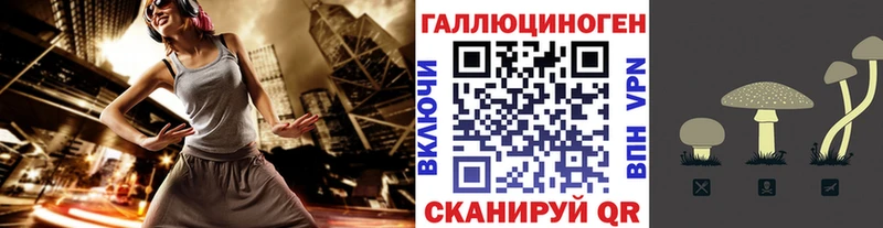 блэк спрут онион  Татарск  Псилоцибиновые грибы прущие грибы 